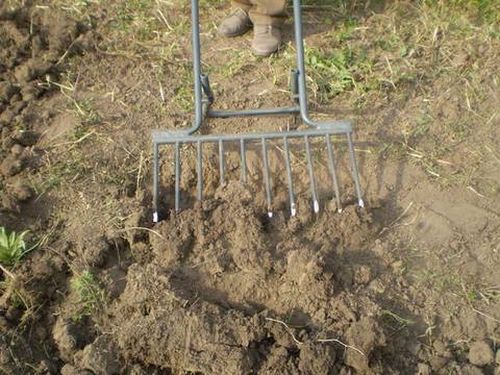 Чудо-лопата для копки земли: купить уникальный инструмент по отличной цене